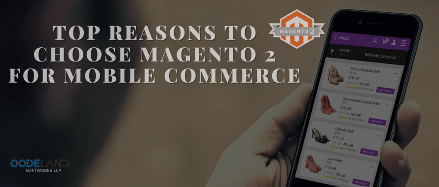 How-Much-Does-it-Cost-to-Develop-Magento-eCommerce-Website_-6